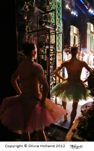 ballet-companies