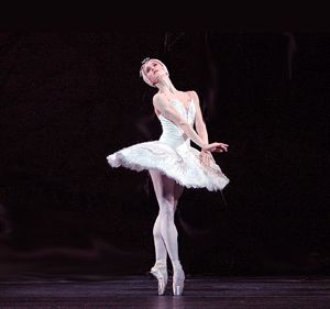 Swan Lake Ballet Swan Lake Ballet