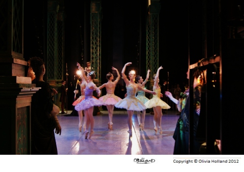 ballet dance steps